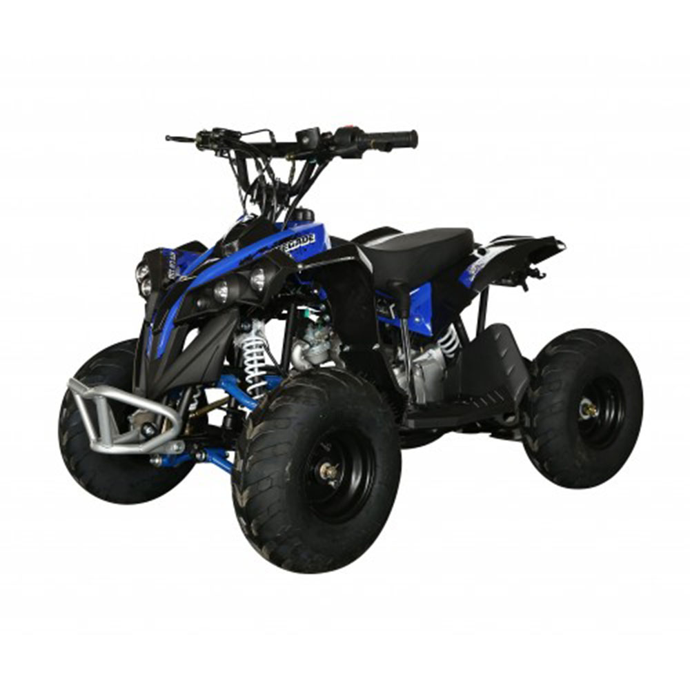 Электроквадроцикл MOTAX ATV CAT 1000W Фото 3 Электроквадроцикл MOTAX ATV CAT 1000W Обзор-Фото 3