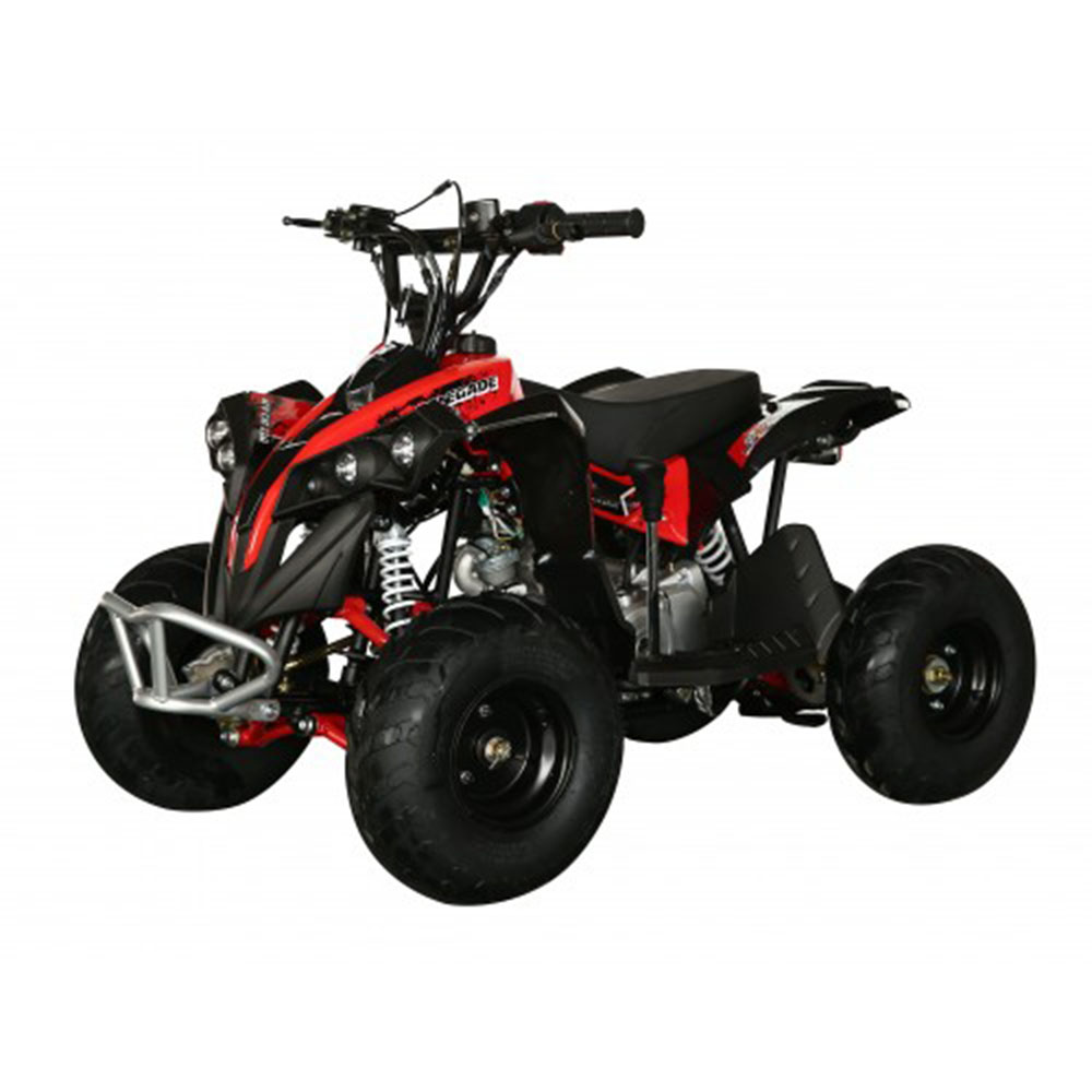 Электроквадроцикл MOTAX ATV CAT 1000W Фото 4 Электроквадроцикл MOTAX ATV CAT 1000W Обзор-Фото 4