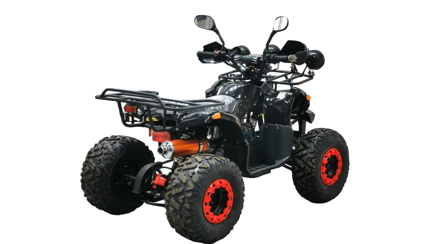 Квадроцикл BISON Kids 125 LD Фото 5 Квадроцикл BISON Kids 125 LD Обзор-Фото 5