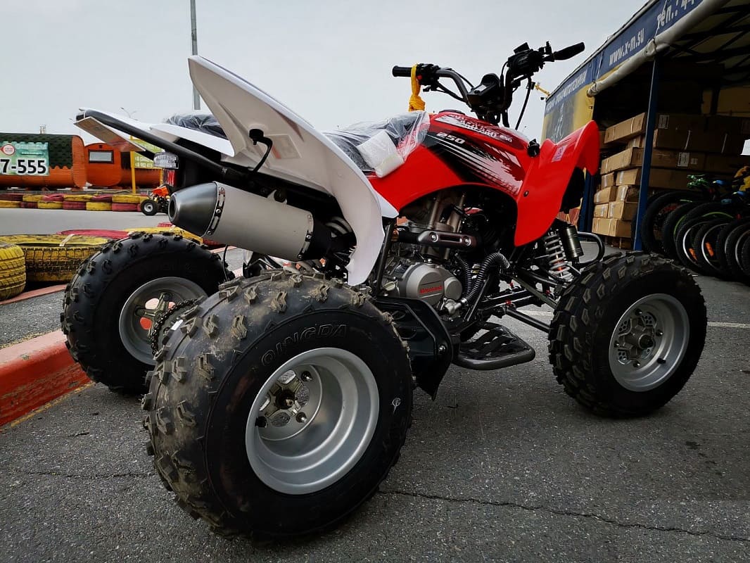Квадроцикл MOTOLAND 250S Pro Фото 2 Квадроцикл MOTOLAND 250S Pro Обзор-Фото 2