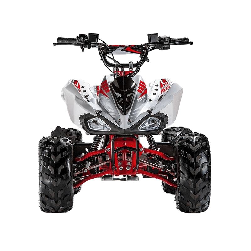 Квадроцикл ACCESS AMS 110 MiniSport Фото 2 Квадроцикл ACCESS AMS 110 MiniSport Обзор-Фото 2