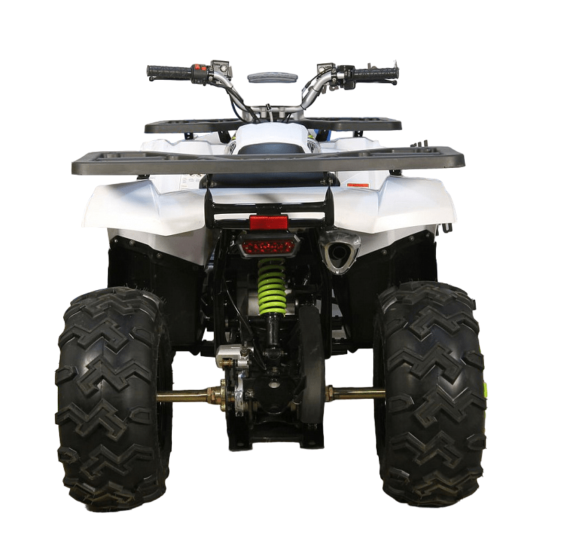 Квадроцикл AVANTIS H200 New (Баланс. вал) Фото 2 Квадроцикл AVANTIS H200 New (Баланс. вал) Обзор-Фото 2