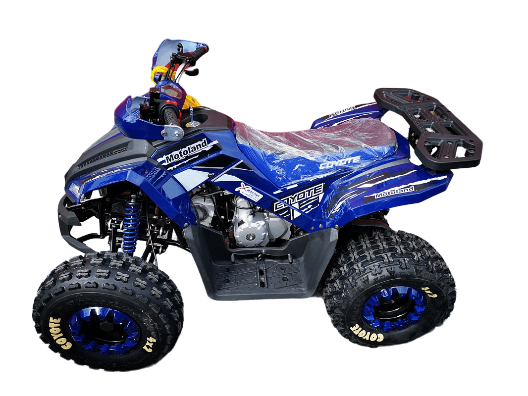 Квадроцикл MOTOLAND 125 Coyote Pro Фото 4 Квадроцикл MOTOLAND 125 Coyote Pro Обзор-Фото 4