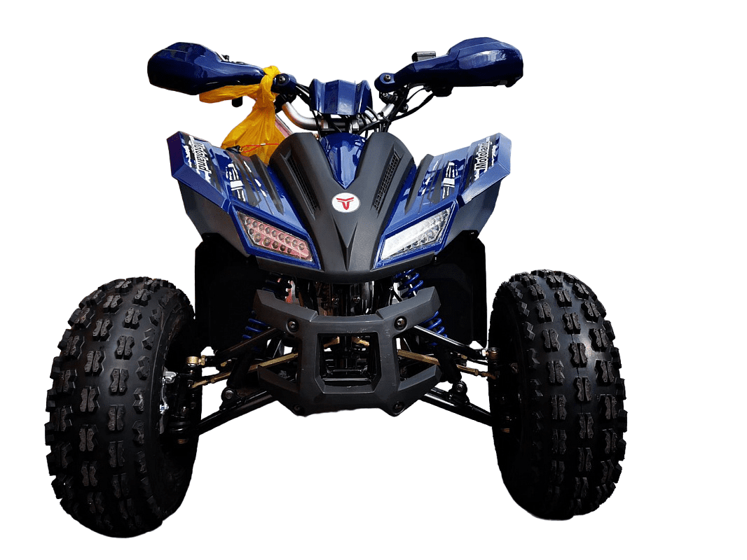 Квадроцикл MOTOLAND 125 Coyote Pro Фото 2 Квадроцикл MOTOLAND 125 Coyote Pro Обзор-Фото 2