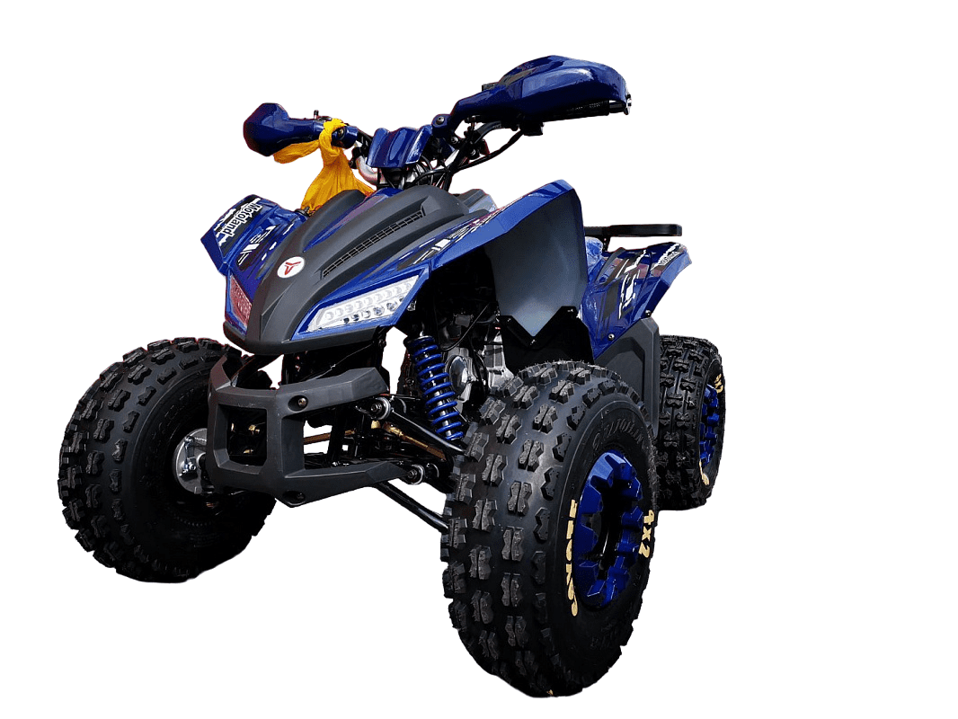 Квадроцикл MOTOLAND 125 Coyote Pro Фото 3 Квадроцикл MOTOLAND 125 Coyote Pro Обзор-Фото 3