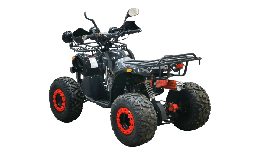 Квадроцикл BISON Kids 125 LD Фото 7 Квадроцикл BISON Kids 125 LD Обзор-Фото 7