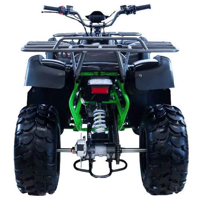 Квадроцикл MOTAX ATV Grizlik 200 Lux Фото 2 Квадроцикл MOTAX ATV Grizlik 200 Lux Обзор-Фото 2