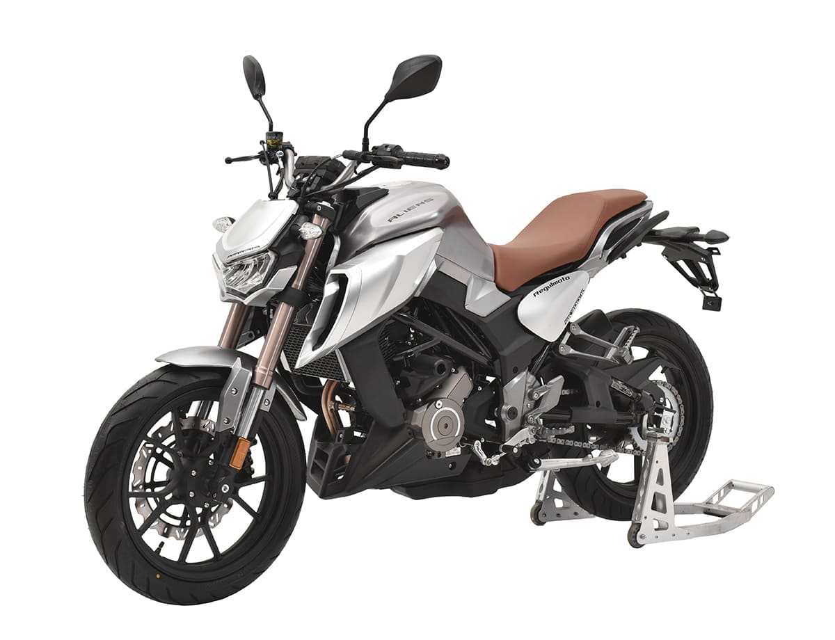 Мотоцикл REGULMOTO Alien Monster 300 ТУРЭНДУРО Фото 3 Мотоцикл REGULMOTO Alien Monster 300 ТУРЭНДУРО Обзор-Фото 3