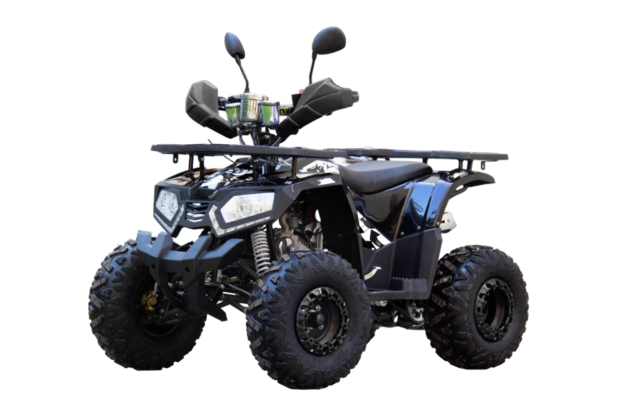 Квадроцикл UNIVERSAL ATV 125 TM Fusion Фото 1 Квадроцикл UNIVERSAL ATV 125 TM Fusion Обзор-Фото 1