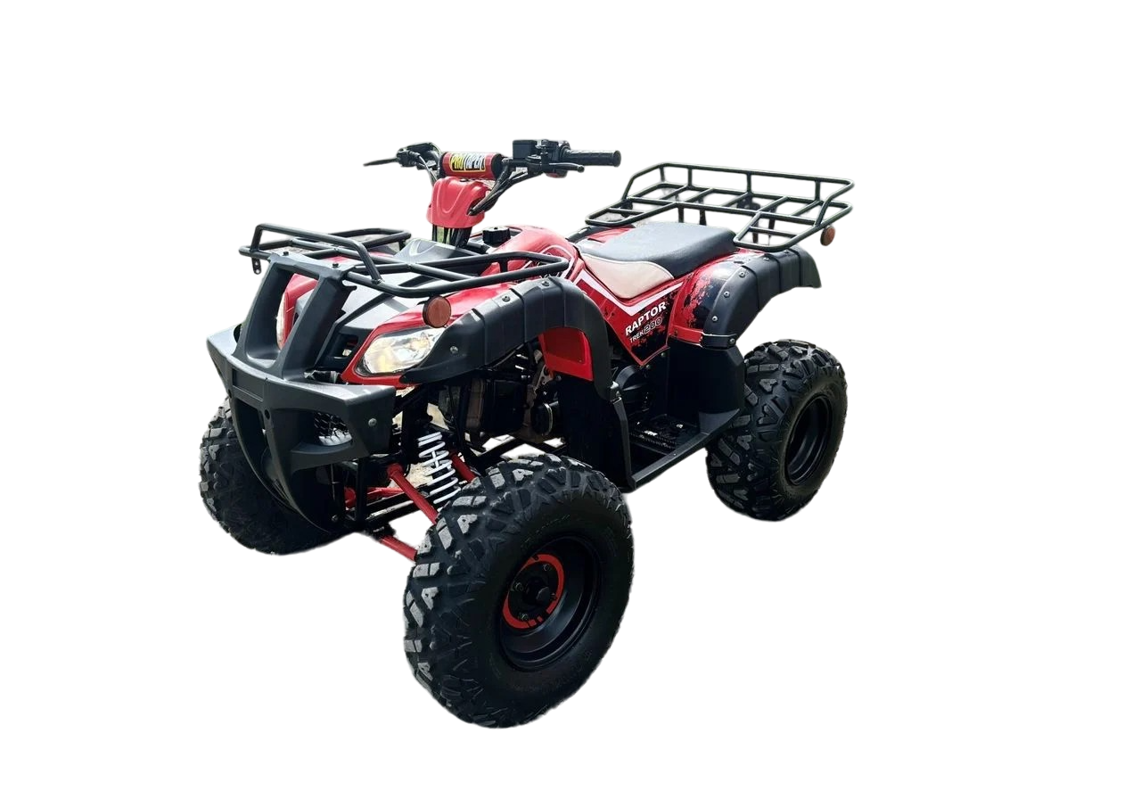 Квадроцикл RAPTOR Madman 200 All Фото 1 Квадроцикл RAPTOR Madman 200 All Обзор-Фото 1