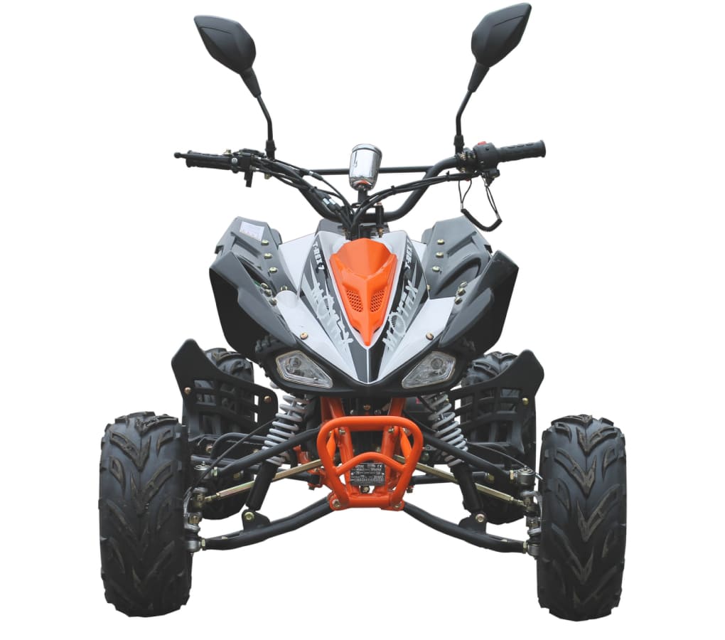 Квадроцикл MOTAX ATV T-Rex LUX 125 cc Фото 2 Квадроцикл MOTAX ATV T-Rex LUX 125 cc Обзор-Фото 2