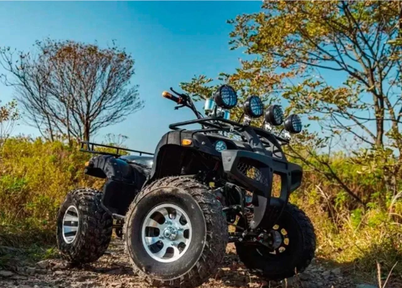 Квадроцикл TIGER Sport 250 (2024) Фото 12 Квадроцикл TIGER Sport 250 (2024) Обзор-Фото 12