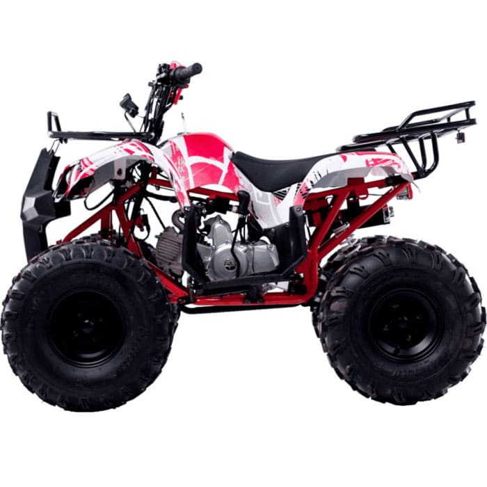 Квадроцикл WELS Thunder 125 Basic Фото 4 Квадроцикл WELS Thunder 125 Basic Обзор-Фото 4