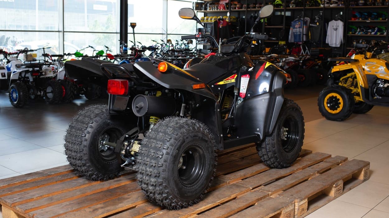 Квадроцикл STELS ATV 110A Hugo Фото 5 Квадроцикл STELS ATV 110A Hugo Обзор-Фото 5