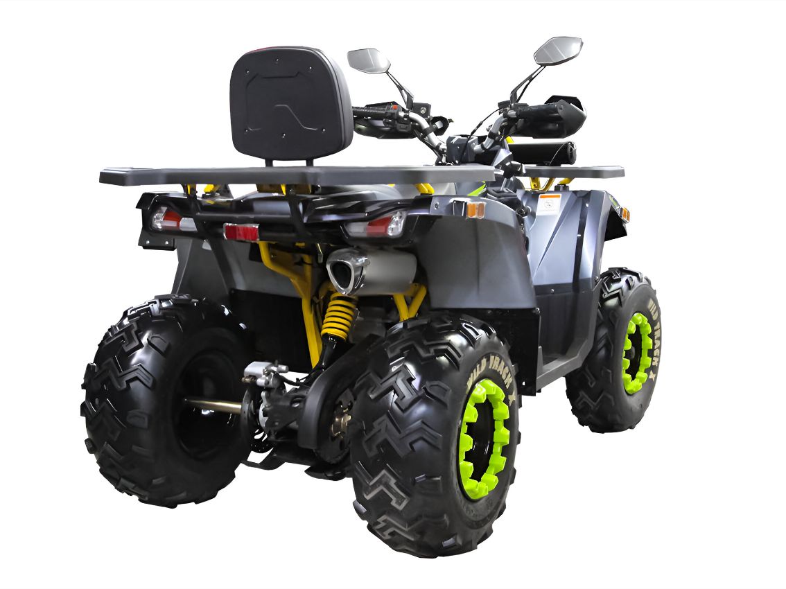 Квадроцикл MOTOLAND 200 Wild Track X Winch Фото 4 Квадроцикл MOTOLAND 200 Wild Track X Winch Обзор-Фото 4
