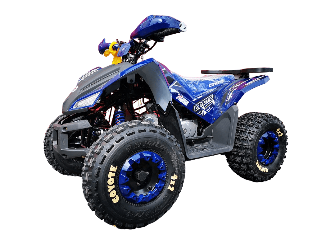 Квадроцикл MOTOLAND 125 Coyote Pro Фото 1 Квадроцикл MOTOLAND 125 Coyote Pro Обзор-Фото 1