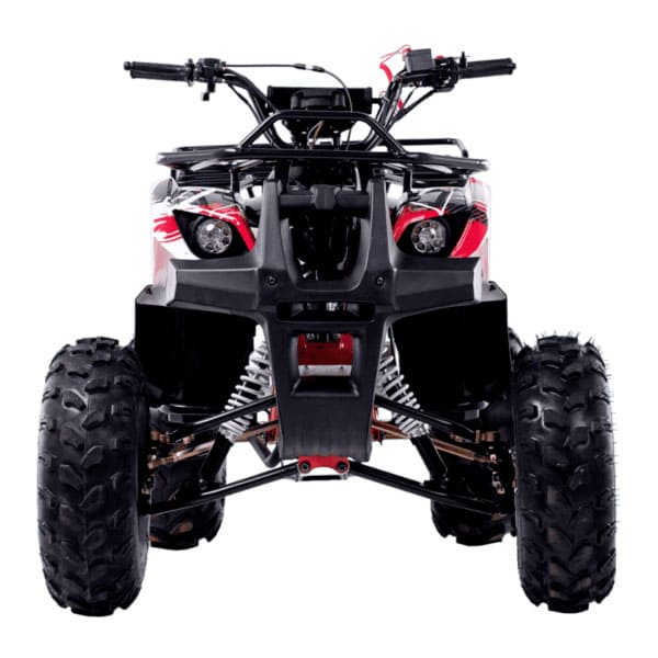 Квадроцикл WELS Thunder 125 Basic Фото 3 Квадроцикл WELS Thunder 125 Basic Обзор-Фото 3