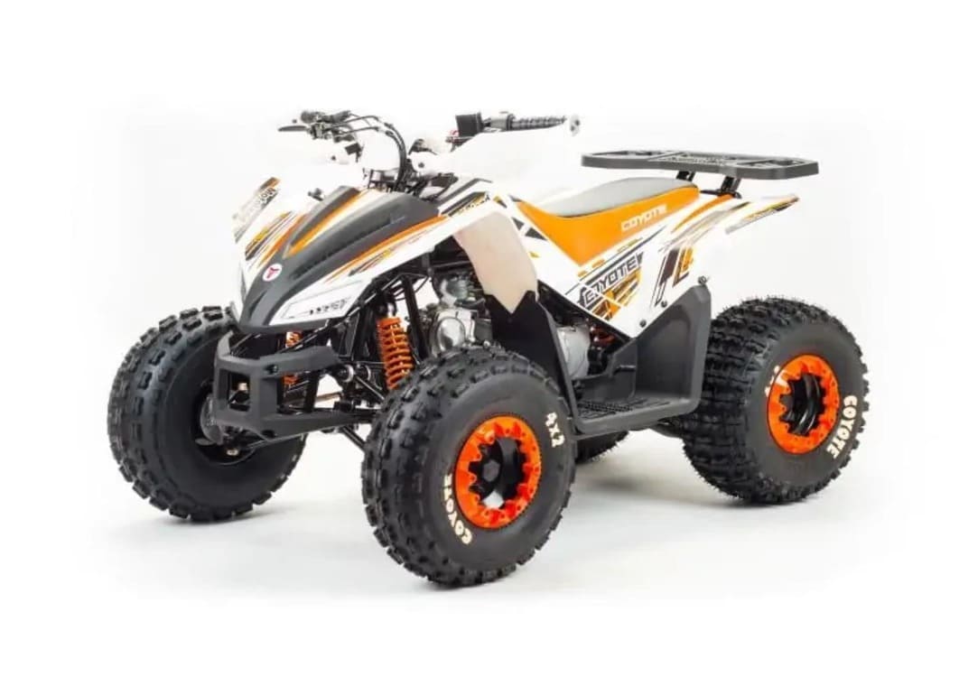 Квадроцикл MOTOLAND 125 Coyote (2021 Г.) Обзор-Фото 1