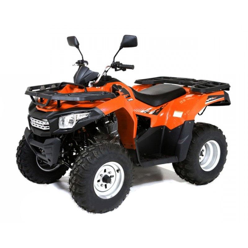 Квадроцикл LONCIN 200 Dominator Фото 1 Квадроцикл LONCIN 200 Dominator Обзор-Фото 1