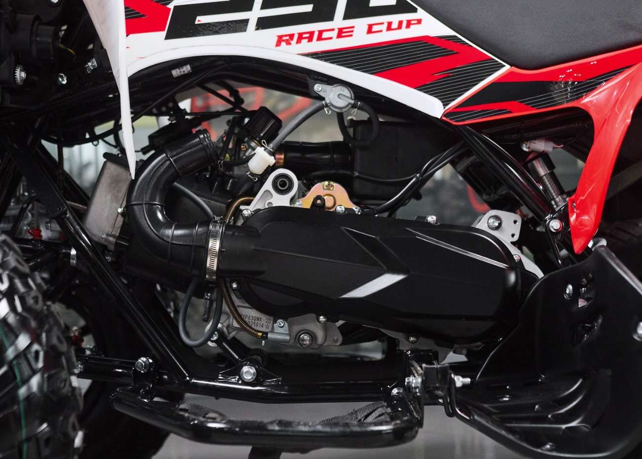 Квадроцикл SHARMAX Raizer Race Cup 250 Фото 18 Квадроцикл SHARMAX Raizer Race Cup 250 Обзор-Фото 18