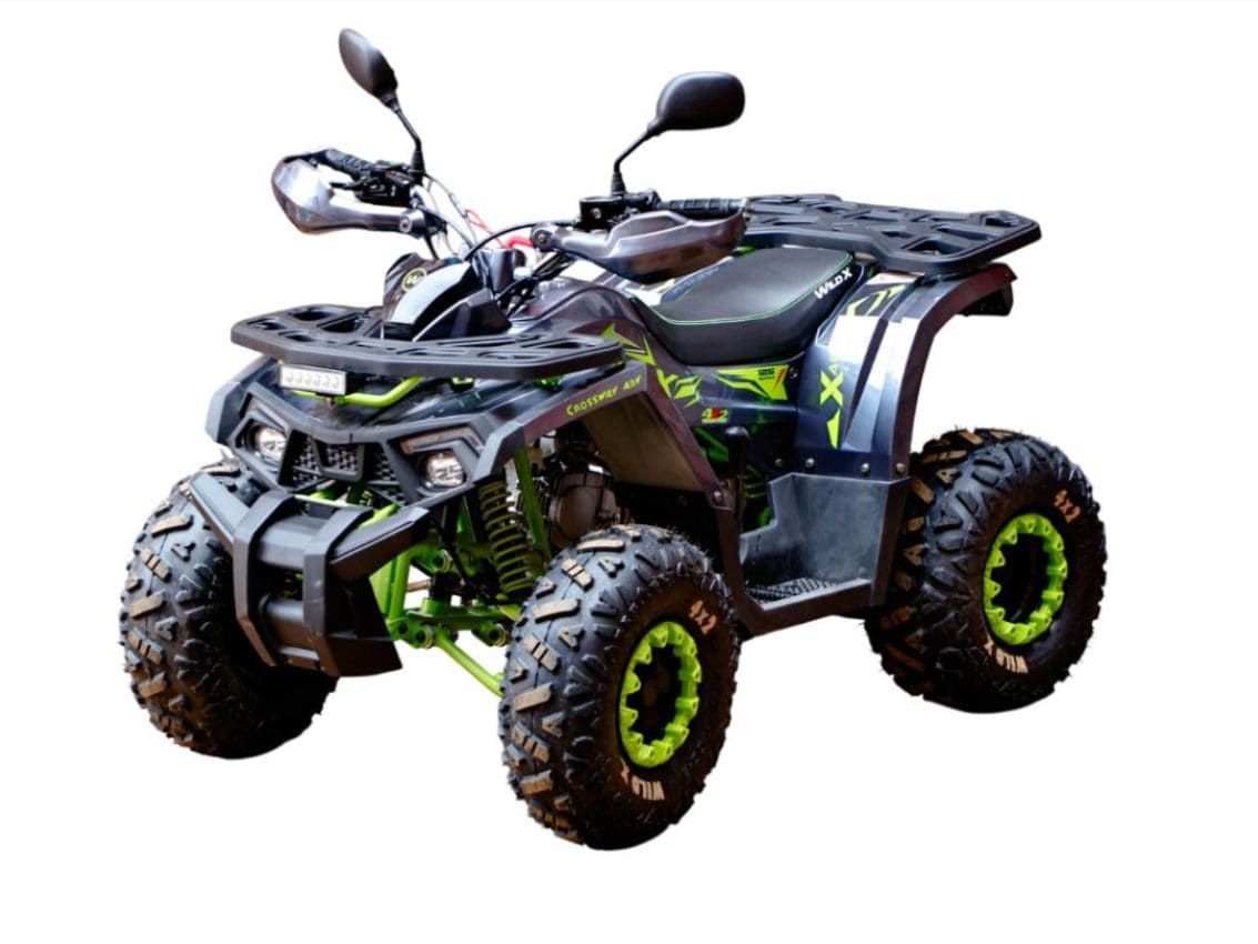 Квадроцикл MOTOLAND 125 Wild X Pro Фото 1 Квадроцикл MOTOLAND 125 Wild X Pro Обзор-Фото 1