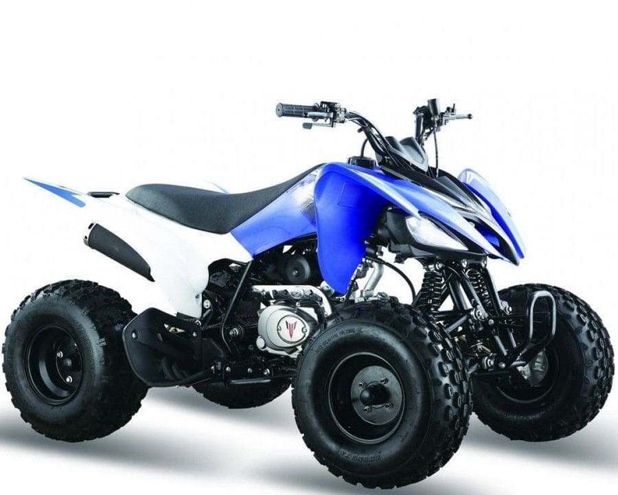 Квадроцикл МОТОМИР Pantera 125 Фото 1 Квадроцикл МОТОМИР Pantera 125 Обзор-Фото 1