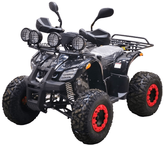 Квадроцикл BISON Kids 125 LD Фото 1 Квадроцикл BISON Kids 125 LD Обзор-Фото 1