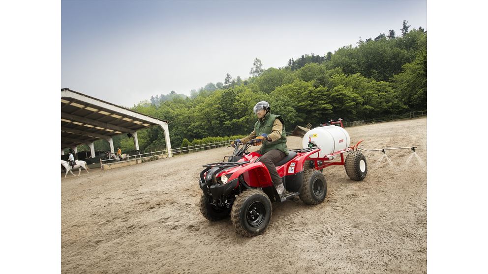 Квадроцикл YAMAHA Grizzly 300 (Replika Yamaha) Фото 5 Квадроцикл YAMAHA Grizzly 300 (Replika Yamaha) Обзор-Фото 5