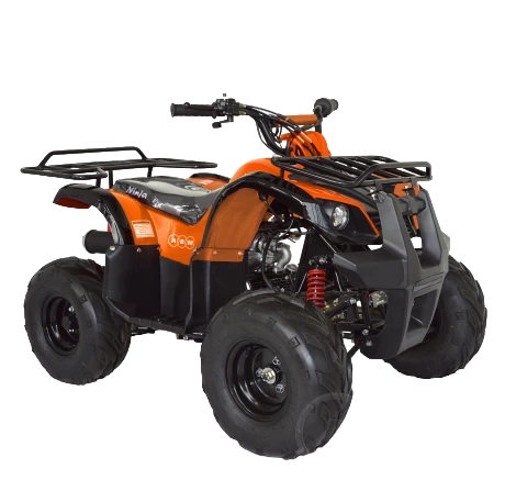 Квадроцикл ABM Ninja 110 Фото 2 Квадроцикл ABM Ninja 110 Обзор-Фото 2