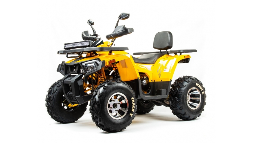 Квадроцикл BISON Track X PRO Фото 1 Квадроцикл BISON Track X PRO Обзор-Фото 1