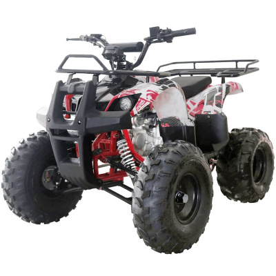 Квадроцикл WELS Thunder 125 Basic Фото 1 Квадроцикл WELS Thunder 125 Basic Обзор-Фото 1