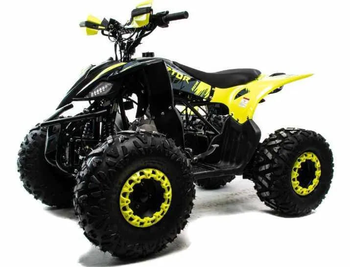 Квадроцикл MOTOLAND 125 Raptor Фото 1 Квадроцикл MOTOLAND 125 Raptor Обзор-Фото 1