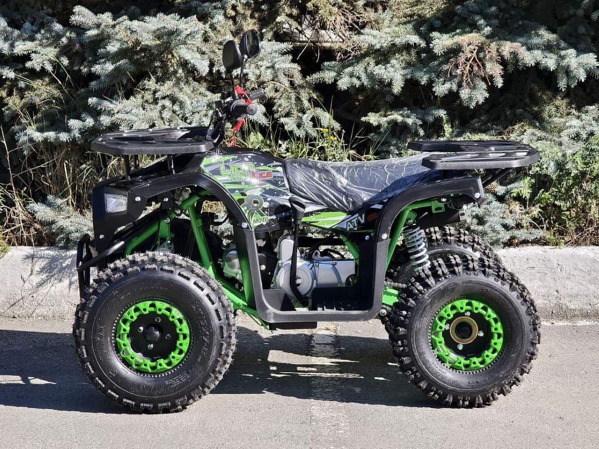 Квадроцикл RMOTO Lion 125AR Lite Фото 2 Квадроцикл RMOTO Lion 125AR Lite Обзор-Фото 2