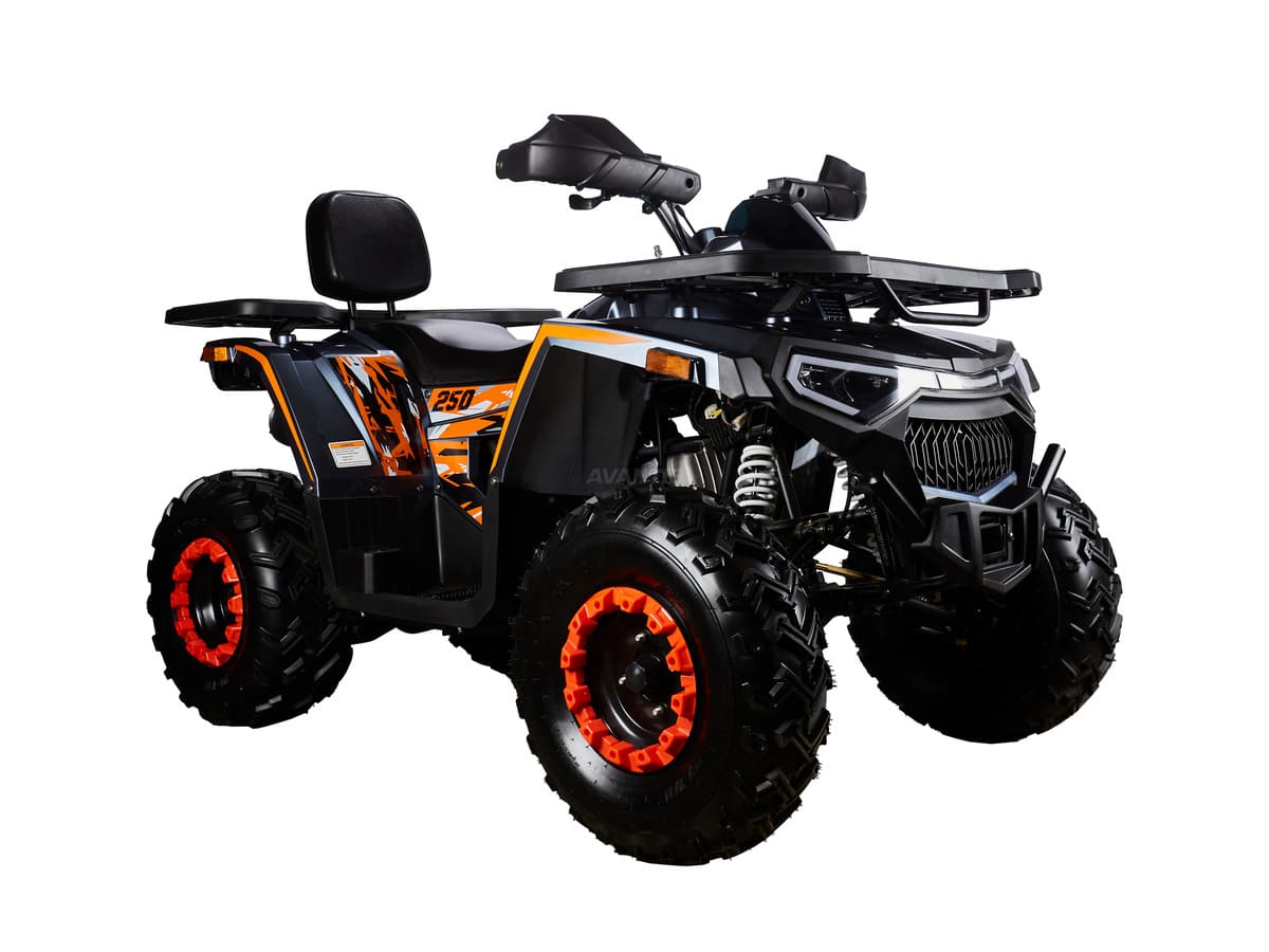 Квадроцикл AVANTIS H250 Big New Basic Фото 2 Квадроцикл AVANTIS H250 Big New Basic Обзор-Фото 2