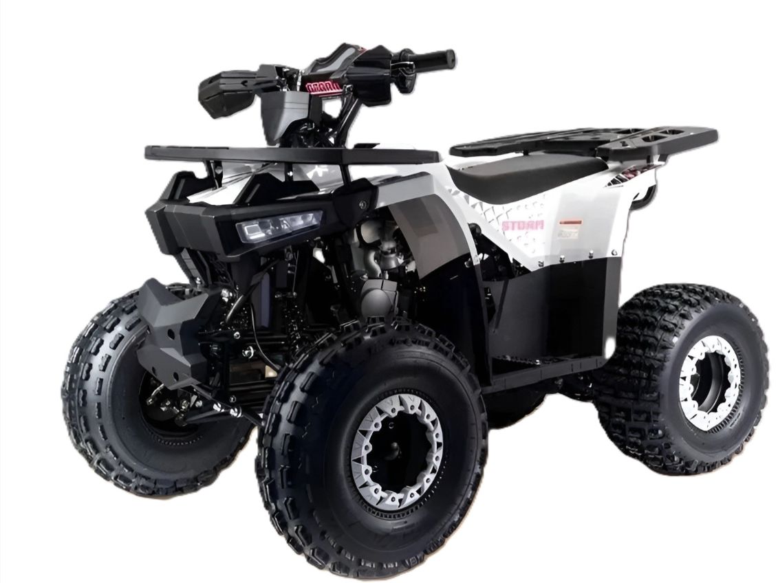Квадроцикл MOTOLAND Storm A 125 Фото 1 Квадроцикл MOTOLAND Storm A 125 Обзор-Фото 1