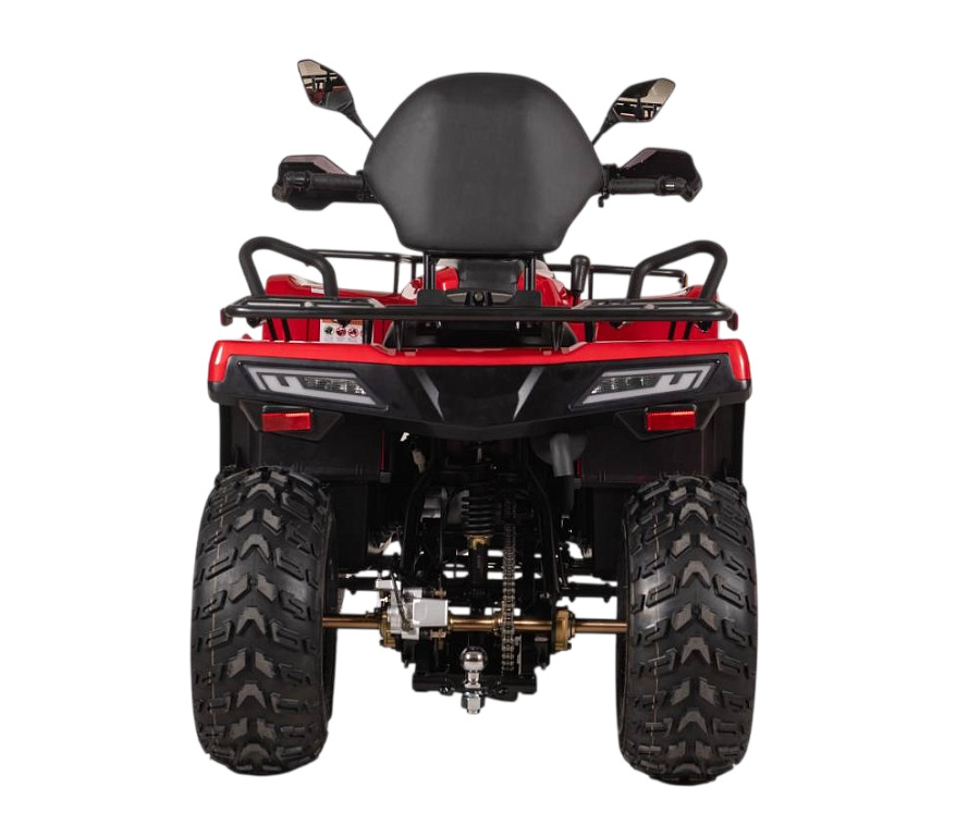 Квадроцикл BIZON YK250 Lux EFI Фото 4 Квадроцикл BIZON YK250 Lux EFI Обзор-Фото 4