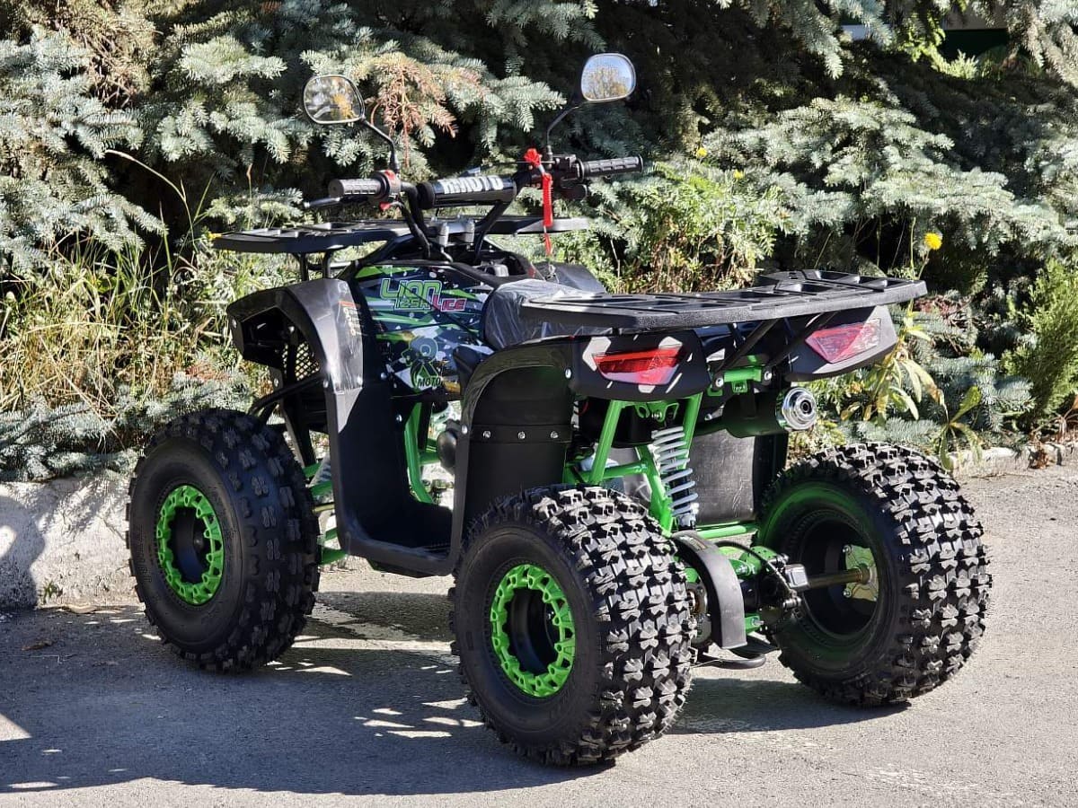 Квадроцикл RMOTO Lion 125AR Lite Фото 4 Квадроцикл RMOTO Lion 125AR Lite Обзор-Фото 4