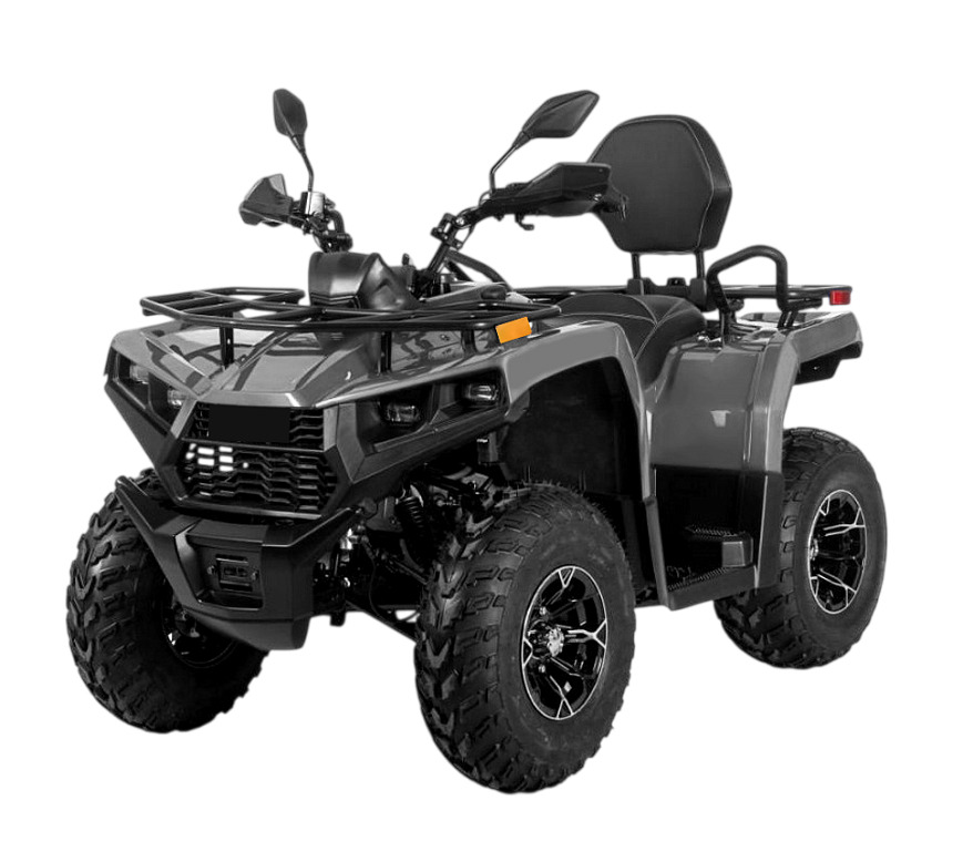 Квадроцикл BIZON YK250 Lux EFI Фото 3 Квадроцикл BIZON YK250 Lux EFI Обзор-Фото 3
