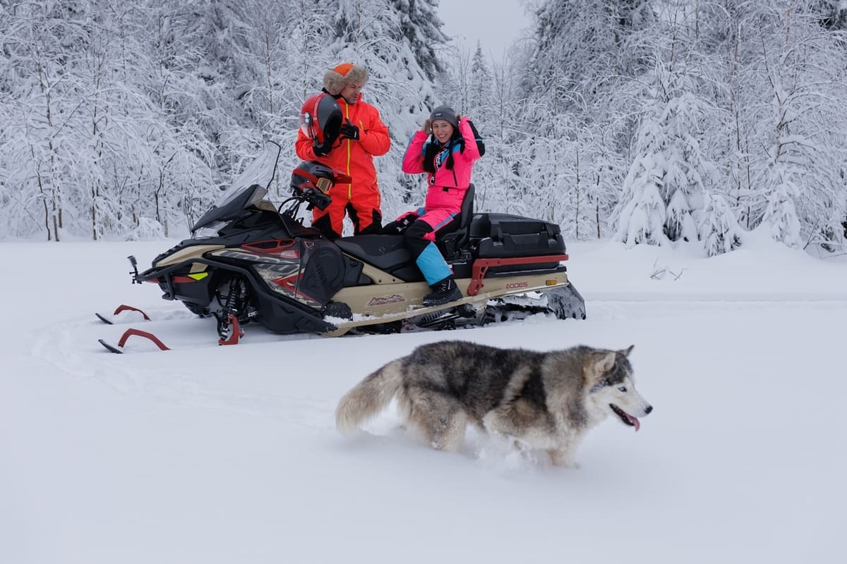 Снегоход AODES Snowcross 1000 SWT SC 2025 Фото 3 Снегоход AODES Snowcross 1000 SWT SC 2025 Обзор-Фото 3