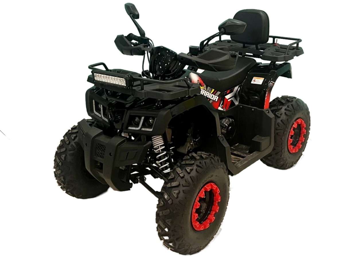 Квадроцикл BISON Warrior 200 Обзор-Фото 1