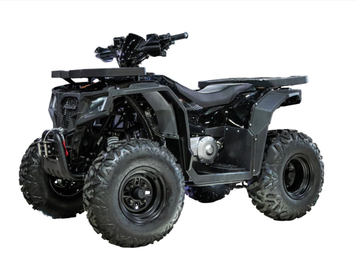 Квадроцикл PROGASI Race Jumper 200 Max Power Фото 1 Квадроцикл PROGASI Race Jumper 200 Max Power Обзор-Фото 1