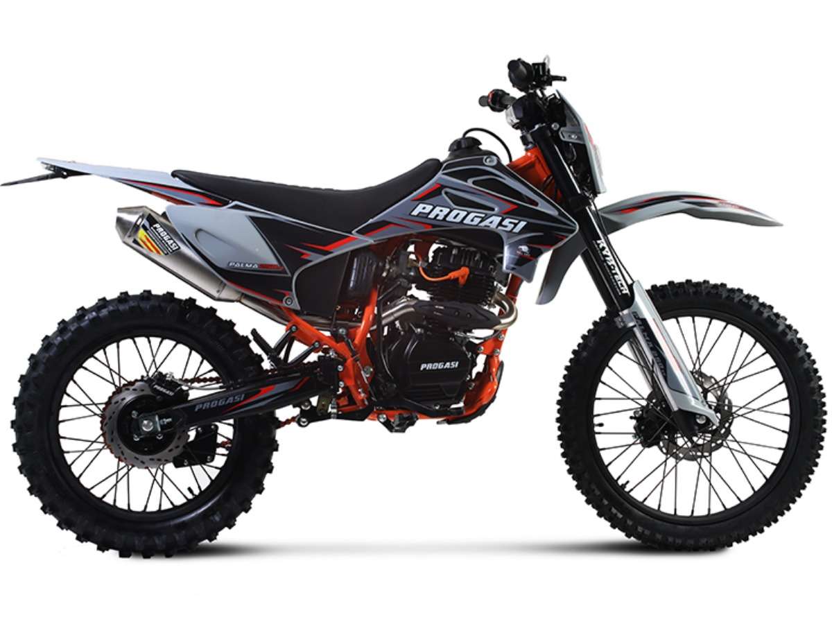 Мотоцикл PROGASI Palma 250 SE (165FMM) 21/18 ENDURO Фото 1 Мотоцикл PROGASI Palma 250 SE (165FMM) 21/18 ENDURO Обзор-Фото 1