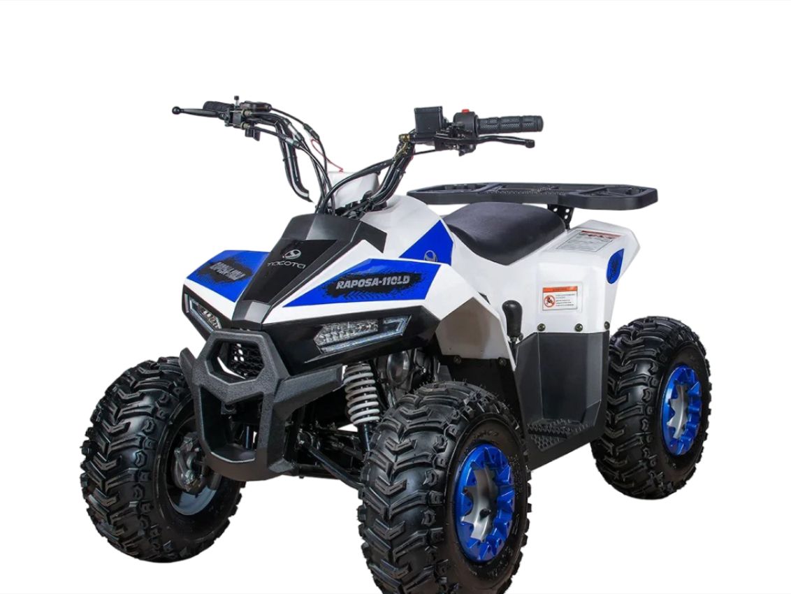 Квадроцикл YACOTA Raposa Pro Sport Фото 1 Квадроцикл YACOTA Raposa Pro Sport Обзор-Фото 1