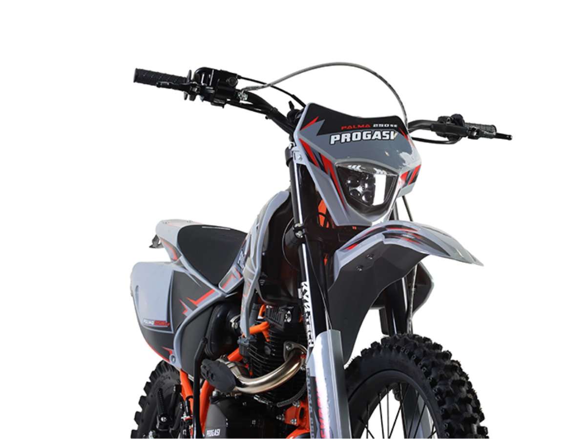 Мотоцикл PROGASI Palma 250 SE (165FMM) 21/18 ENDURO Фото 4 Мотоцикл PROGASI Palma 250 SE (165FMM) 21/18 ENDURO Обзор-Фото 4