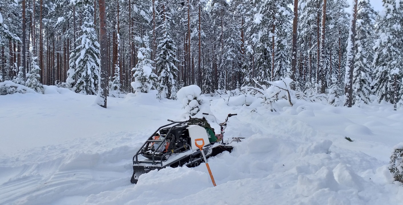 Изображение статьи