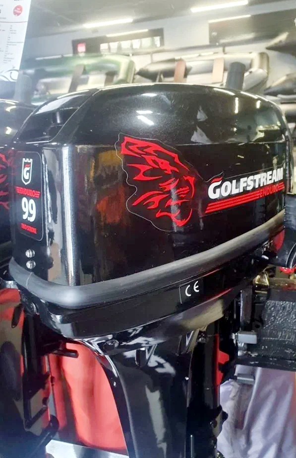 2х-тактный лодочный мотор GOLFSTREAM TE 9.9 BMS Enduro Б/У Фото 1 2х-тактный лодочный мотор GOLFSTREAM TE 9.9 BMS Enduro Б/У Обзор-Фото 1