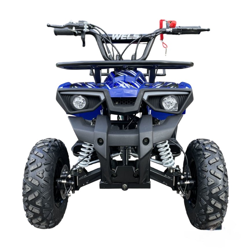 Квадроцикл WELS Thunder mini 2T Фото 2 Квадроцикл WELS Thunder mini 2T Обзор-Фото 2
