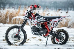 сколько стоит питбайк 125 кубов