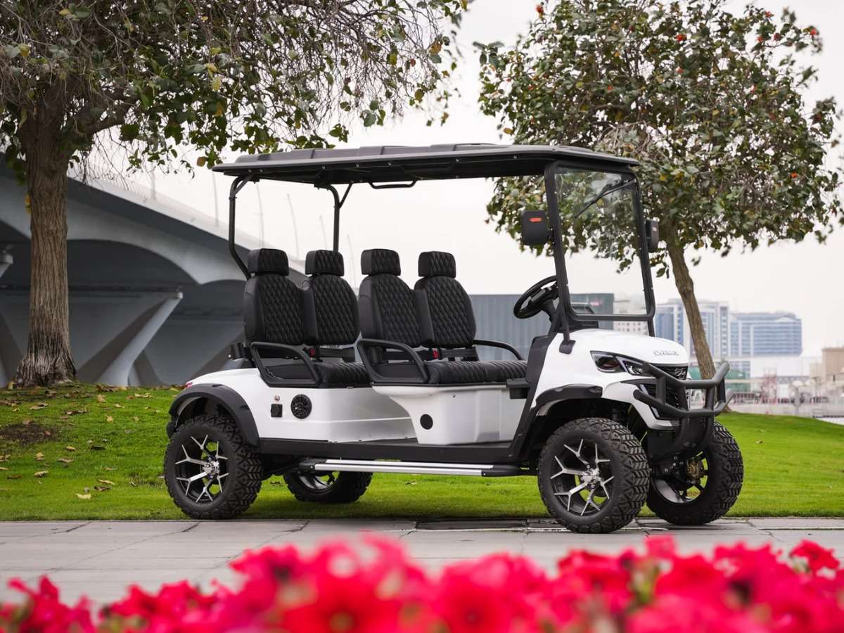 Гольфкар SHARMAX Country Club 4 seater Фото 9 Гольфкар SHARMAX Country Club 4 seater Обзор-Фото 9
