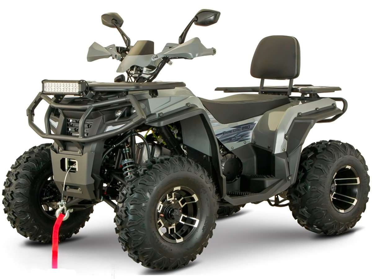 Квадроцикл YAСOTA Viking Long 250 Pro Фото 1 Квадроцикл YAСOTA Viking Long 250 Pro Обзор-Фото 1